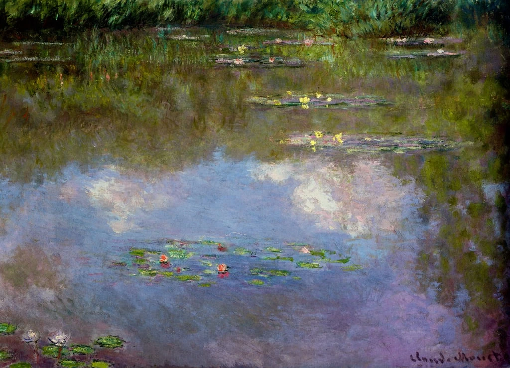 Ninfee, la nuvola